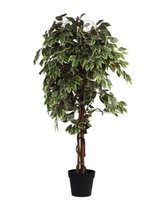 Artificial Variegated Ficus Weeping Tree 150cm (5ft)